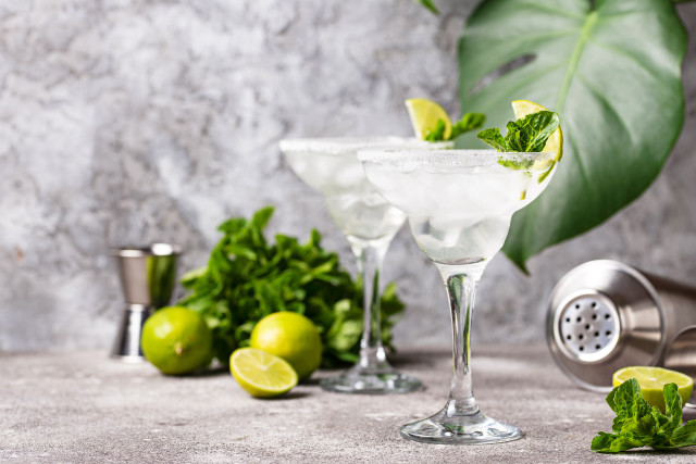 Glasses drinks green plant faucet free wallpaper for desktop - medium preview image