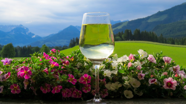 Wine glass flower mountains evening free wallpaper for desktop - medium preview image