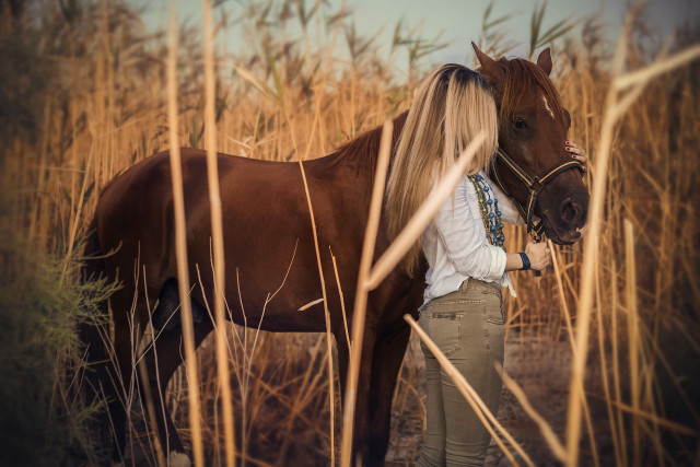 Woman horse field blonde bicycle free wallpaper for desktop - medium preview image