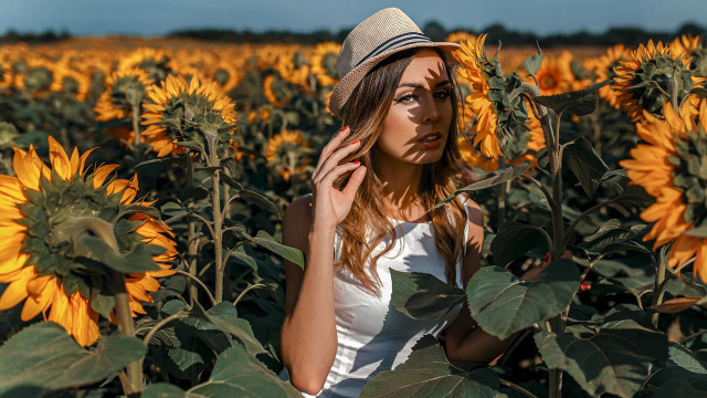 Woman hat sunflowers autumn fire free wallpaper for desktop - medium preview image