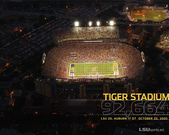 Stadium crowd night tiger sign free wallpaper for desktop - medium preview image