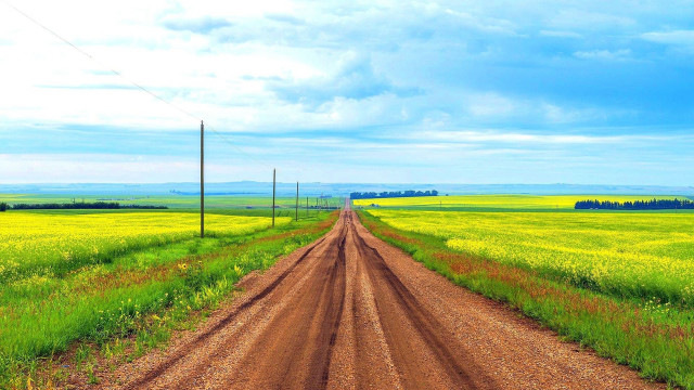 Dirt road field telephone pole free wallpaper for desktop - medium preview image