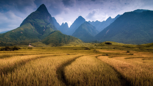 Field mountains dirt path sunset free wallpaper for desktop - medium preview image