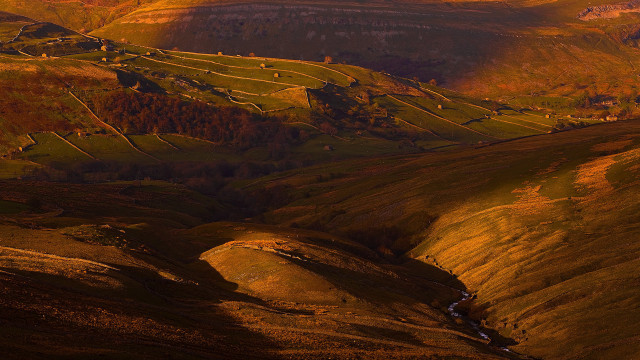 Valley stream hillside trees tiltshift #2 free wallpaper for desktop - medium preview image