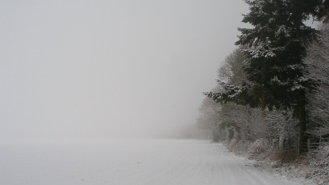 Snowy road fence forest girls free wallpaper for desktop - medium preview image