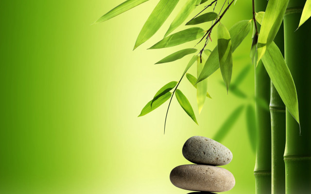 Bamboo rocks leaves green background free wallpaper for desktop - medium preview image