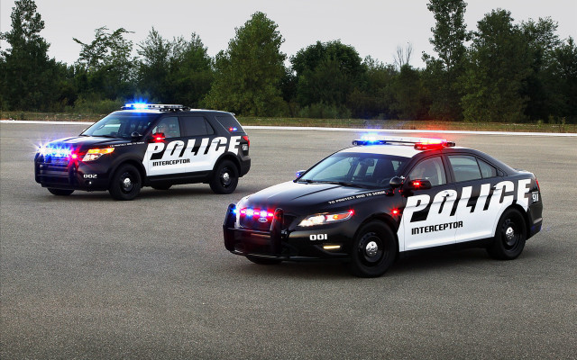 Police cars parking lot forest free wallpaper for desktop - medium preview image