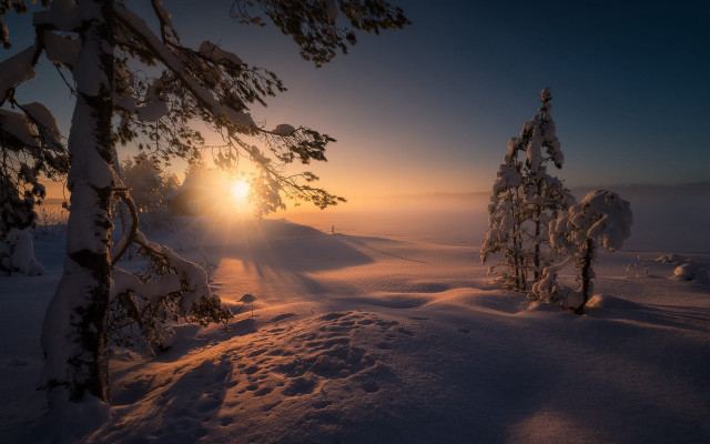 Snowy landscape trees sunset matte free wallpaper for desktop - medium preview image
