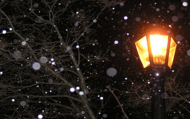 Street light snow night falling free wallpaper for desktop - medium preview image