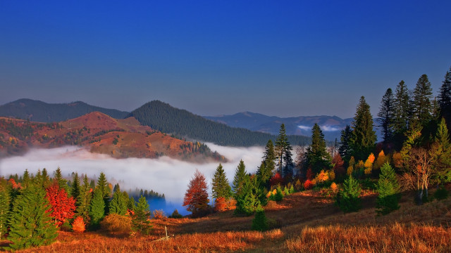 Mountain forest lake clouds autumn free wallpaper for desktop - medium preview image