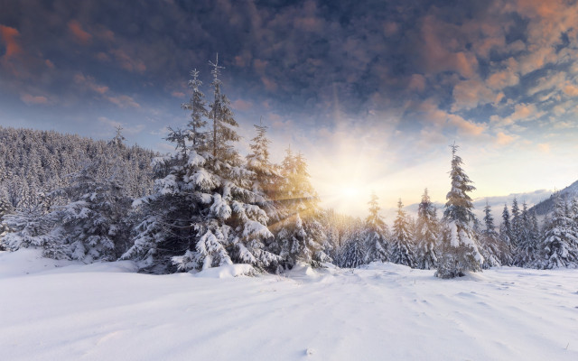 Snowy landscape trees sunset clouds #7 free wallpaper for desktop - medium preview image