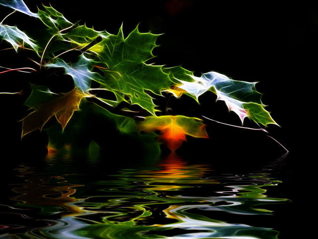 Leafy plant reflection water green free wallpaper for desktop - medium preview image