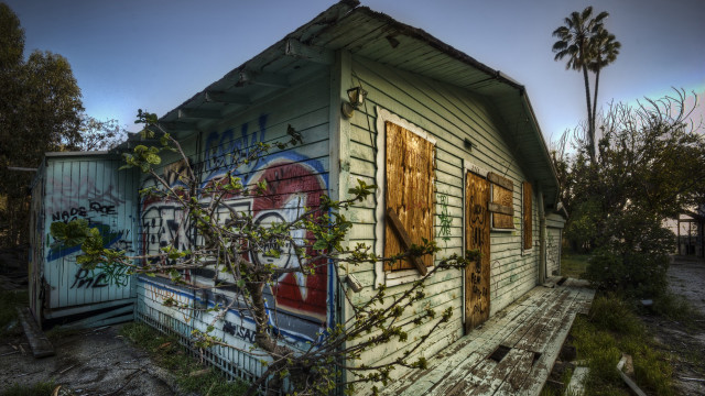 Dilapidated building graffiti tree urban free wallpaper for desktop - medium preview image