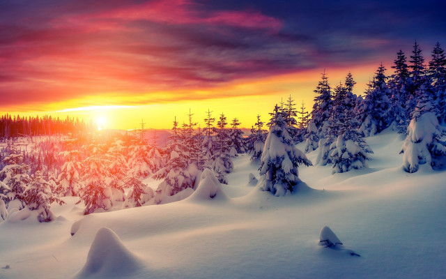 Sunset snowy forest red sky free wallpaper for desktop - medium preview image