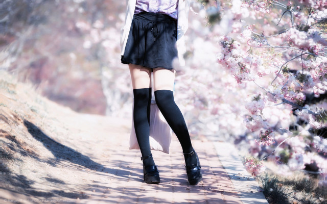 Cherry blossoms anime woman spring free wallpaper for desktop - medium preview image