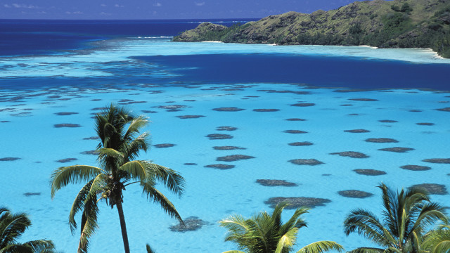 Blue lagoon palm mountains sky free wallpaper for desktop - medium preview image