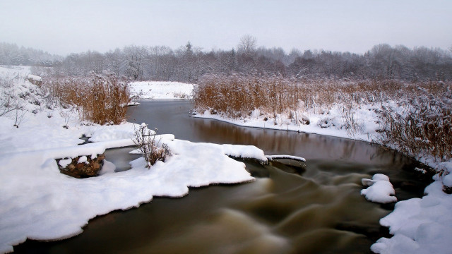 River snowy forest bushes impressionist free wallpaper for desktop - medium preview image