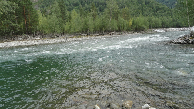 River rocks trees person nature free wallpaper for desktop - medium preview image