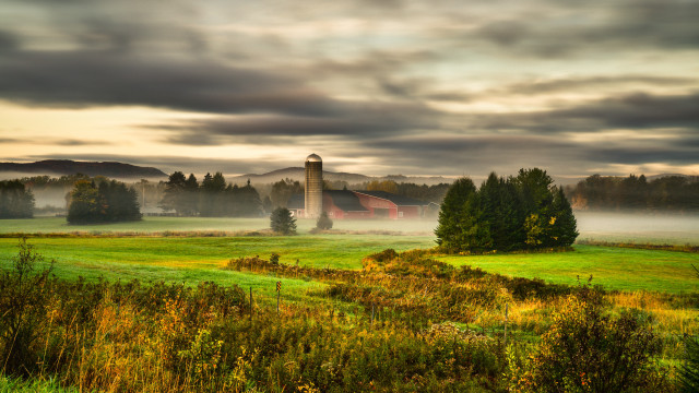 Barn foggy field trees grass free wallpaper for desktop - medium preview image