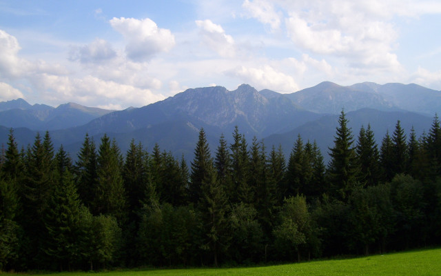 Forest mountains clouds beach horizon free wallpaper for desktop - medium preview image