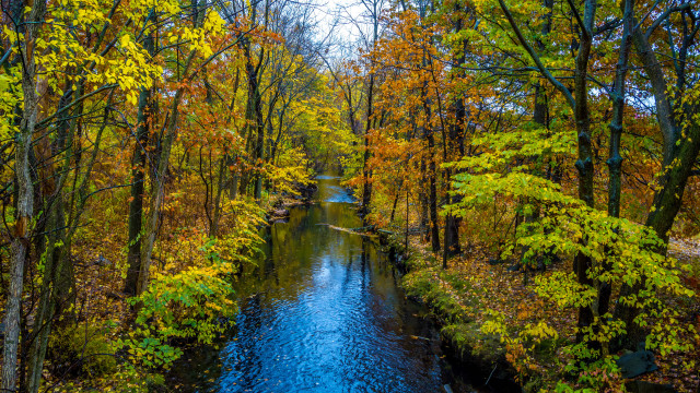 Autumn foliage river forest saturated free wallpaper for desktop - medium preview image