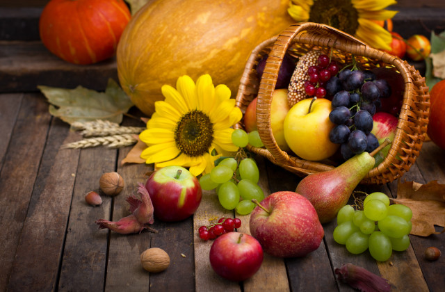 Harvest fall vibrant stilllife fruit free wallpaper for desktop - medium preview image