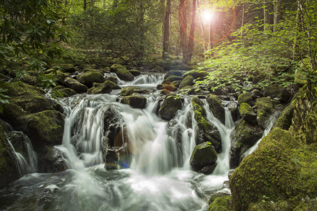 Small waterfall forest mossy rocks #2 free wallpaper for desktop - medium preview image