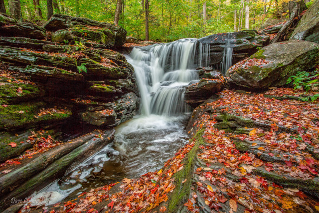Waterfall woods fall leaves rocks free wallpaper for desktop - medium preview image