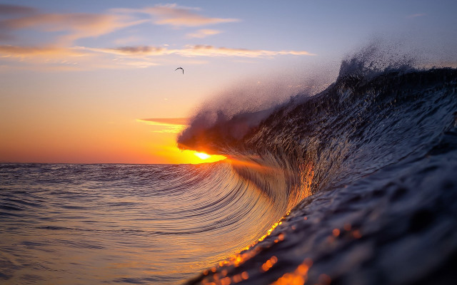 Wave sunset ocean bird fire free wallpaper for desktop - medium preview image