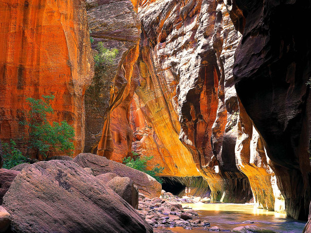 Narrow river canyon rocks trees free wallpaper for desktop - medium preview image