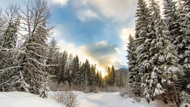 Snowy landscape trees clouds blue #2 free wallpaper for desktop - medium preview image