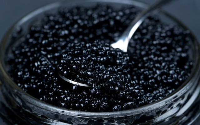 Spoon bowl black cavias table free wallpaper for desktop - medium preview image