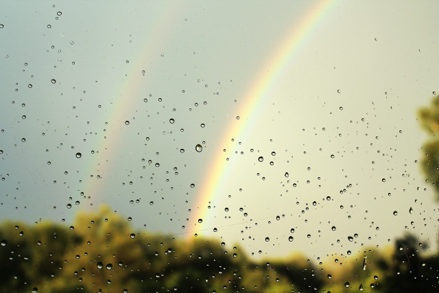 Rainbow rain drops window trees free wallpaper for desktop - medium preview image