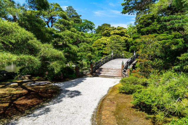 Bridge river forest path bench free wallpaper for desktop - medium preview image