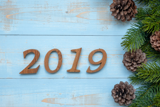 Wooden sign 2019 pine cones free wallpaper for desktop - medium preview image
