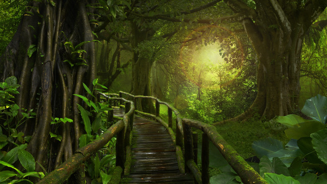 Wooden bridge green forest light free wallpaper for desktop - medium preview image