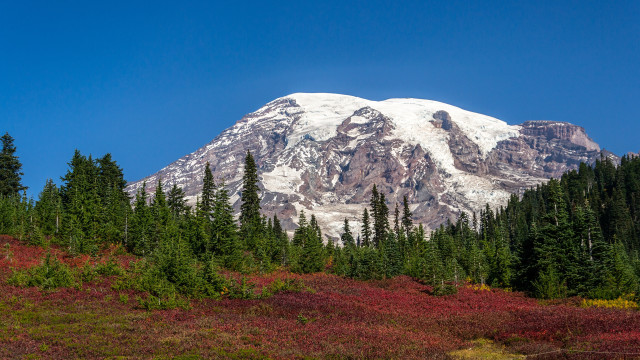 Snowy mountain forest blue sky #2 free wallpaper for desktop - medium preview image