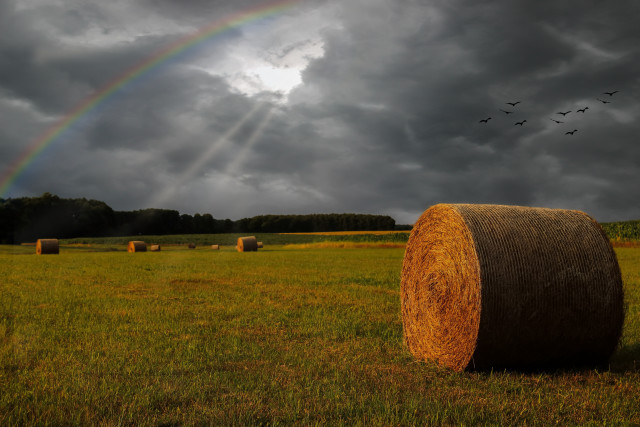 Rainbow haybales birds stormy sky #2 free wallpaper for desktop - medium preview image