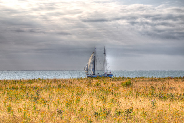 Sailboat cloudy day tall grass free wallpaper for desktop - medium preview image