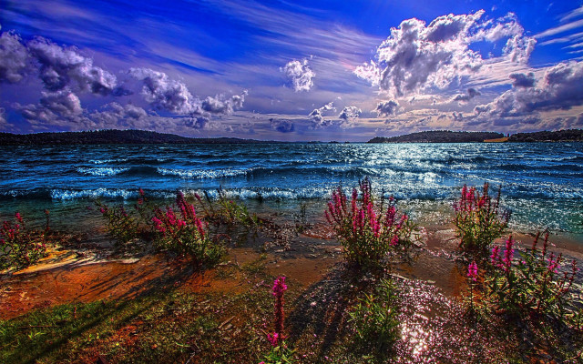 Ocean pink flowers mystical sunset free wallpaper for desktop - medium preview image