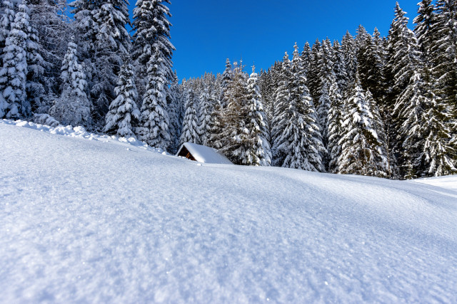 Snowy hill trees cabin blue free wallpaper for desktop - medium preview image
