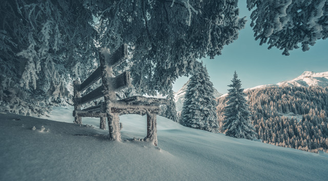 Snowy forest bench mountains winter free wallpaper for desktop - medium preview image