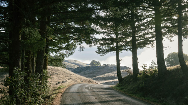 Road trees hill clouds nature free wallpaper for desktop - medium preview image