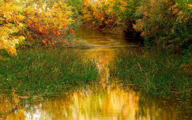 River trees autumn leaves impressionist free wallpaper for desktop - medium preview image