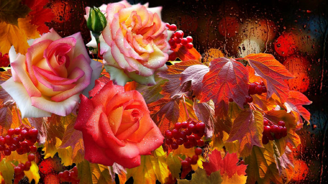 Rainy rose bouquet autumn leaves free wallpaper for desktop - medium preview image