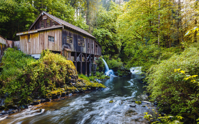Wooden building river forest city free wallpaper for desktop - medium preview image