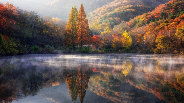 Lake mountain forest autumn fog free wallpaper for desktop - medium preview image