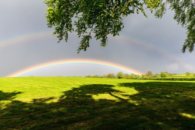 Rainbow green field trees dark #2 free wallpaper for desktop - medium preview image