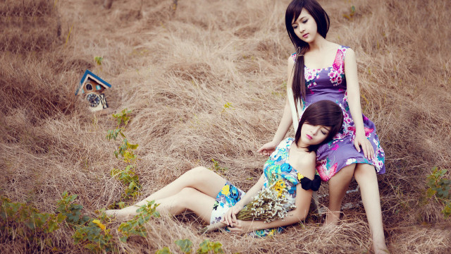 Women sitting grass field nature free wallpaper for desktop - medium preview image