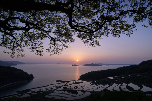 Sunset water boat tree fence free wallpaper for desktop - medium preview image